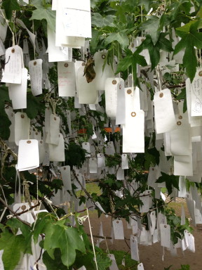 Wishes hung on a tree